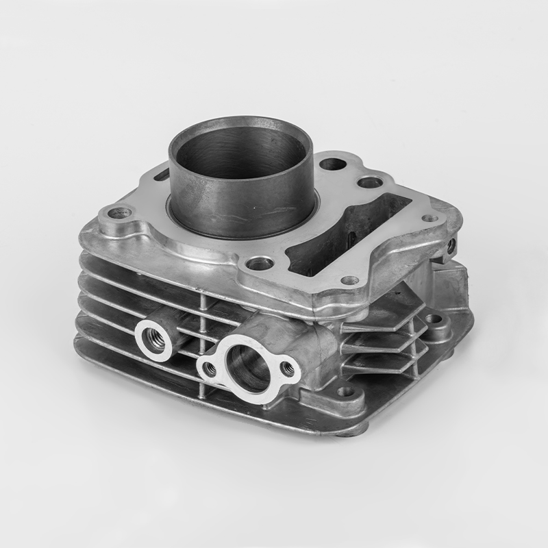 TVS110 (Φ53.5) TVS motor visokih performansi