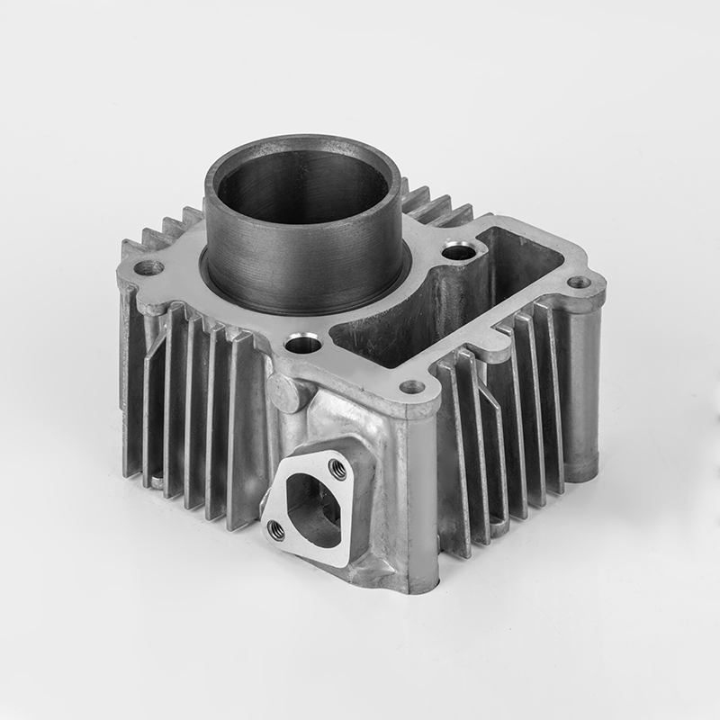 JY110 (Φ49) cilindar Yamaha motocikla od legure željeza