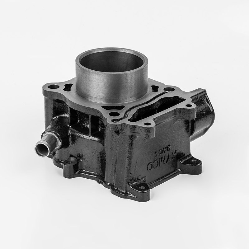 Izdržljiva serija cilindra od lijevanog željeza BAC5 (Φ66).